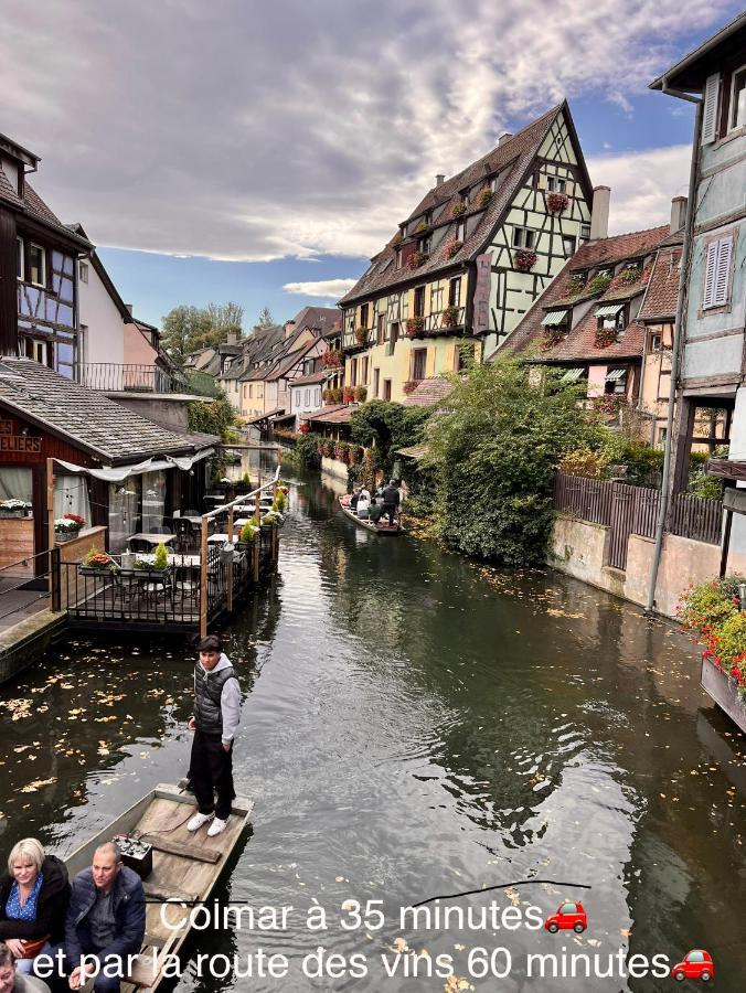 Hotel Le Manoir Barr Dış mekan fotoğraf