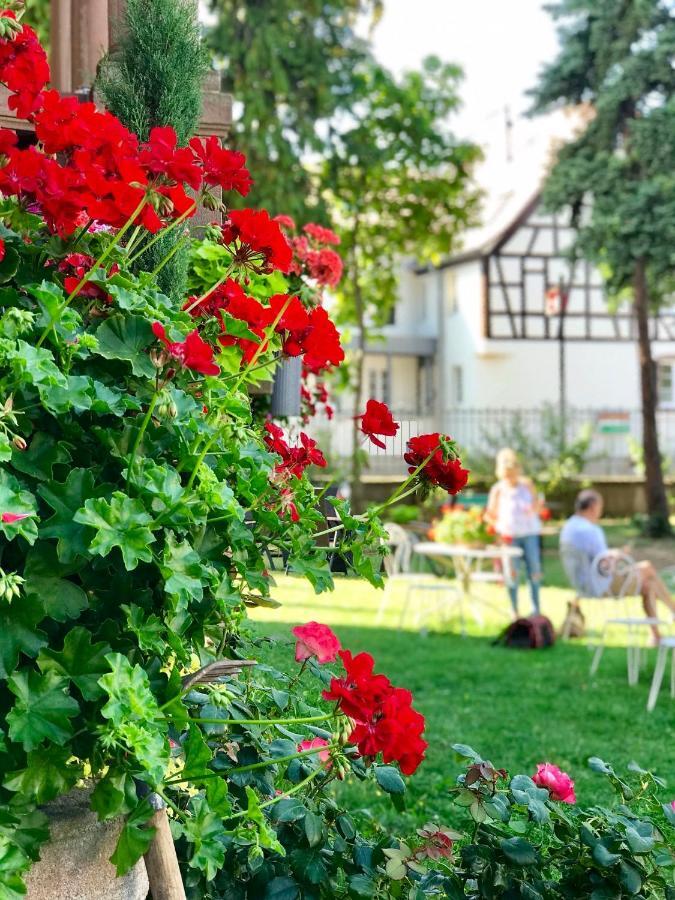 Hotel Le Manoir Barr Dış mekan fotoğraf