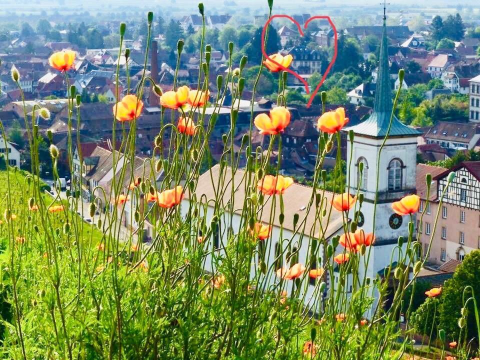 Hotel Le Manoir Barr Dış mekan fotoğraf